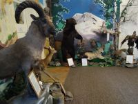 Районный краеведческий музей им. О. М. Отарова