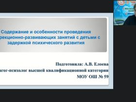 Вебинар "Содержание и особенности проведения коррекционно-развивающих занятий с детьми с задержкой психического развития"
