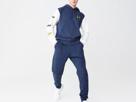 Мужская толстовка - худи Lacoste стандартного кроя