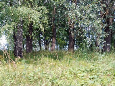 Братская могила латышских стрелков