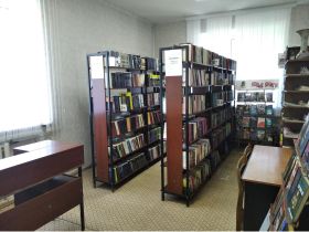 Мишеронская библиотека