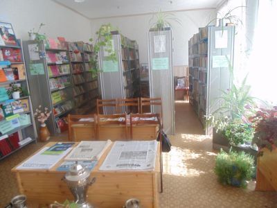 Козловская сельская библиотека