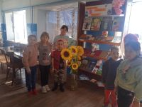 Кокошеевская сельская библиотека