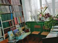 библиотека с. Алеур