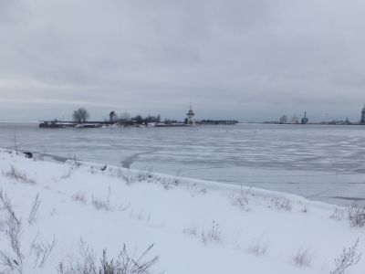 Лесная гавань