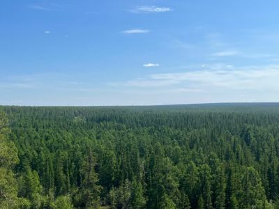 В 2026 году в Якутии охраняемая от пожаров зона лесов составит 82 млн гектаров