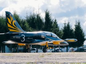 Полет на истребителе L-39