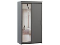 Шкаф-купе Тебар 2-100x190 Графитовый 1 зеркало