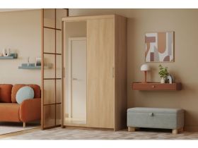 Шкаф-купе Тебар 2-120x230 Дуб Барбера 1 зеркало