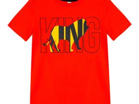 Фуфайка трикотажная для мальчиков (футболка)