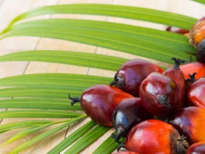 Цена пальмового масла резко выросла