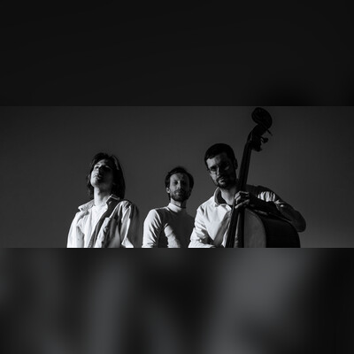 Illo Trio