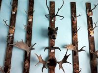 Тагнинский этнографический музей