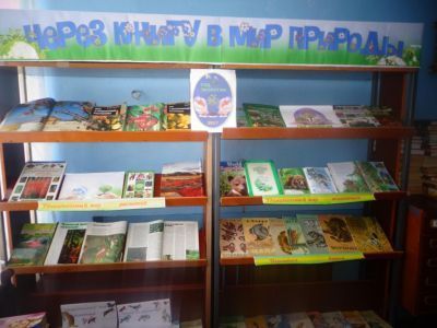 Мерлинская сельская библиотека-филиал