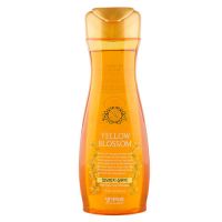 Шампунь от выпадения волос Daeng Gi Meo Ri Yellow Blossom Anti-Hair Loss Shampoo