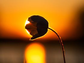 Сплав по реке Лена с посещением Ленских Столбов, тукуланов-песков Самыс Кумага и Кысыл Элэсин