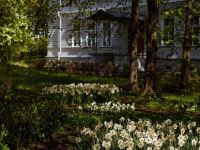 Фрейлинский корпус на Елагином острове