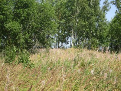 Памятное место, где в 1906-1907 гг. происходило крестьянское восстание под руководством революционера-учителя А.С.Устиненко