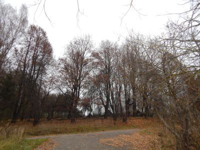 Родина химика-радиолога В.А. Бородовского