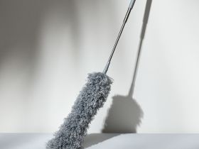 Метелка Paringianu