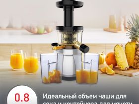 Шнековая соковыжималка Moulinex Juice & Clean ZU420E10