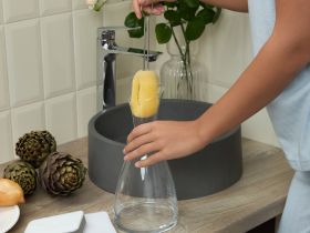 Набор губок для посуды Celordia