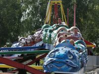 Парк «Дубки»