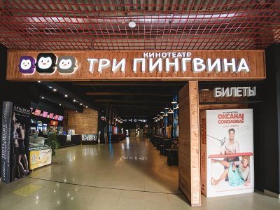 Кинотеатр «Три пингвина»