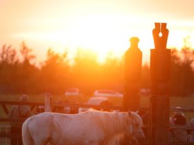 В Якутске на Ысыахе Туймаады состоялся обряд встречи солнца