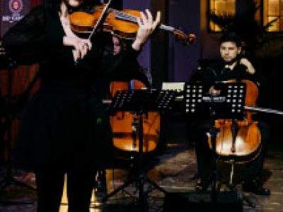 Фэнтези в Новый год. Ведьмак, Пираты Карибского моря, Игра Престолов, Властелин колец