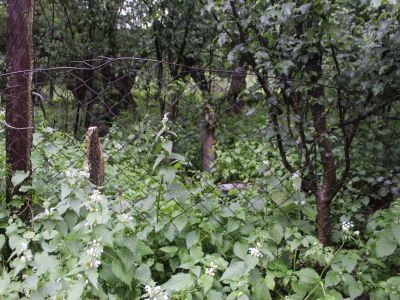 Стелы надмогильные (7 ед.)