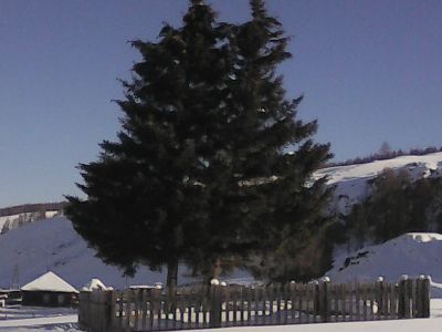 Братская могила