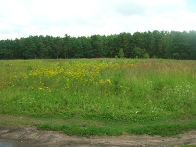 Памятное место, где находился один из крупных торговых и ремесленных центров на древнем торговом пути "Из варяг в греки"