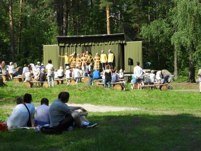 Лесная сцена парка Монрепо