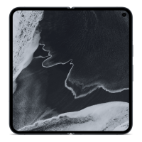 Google Pixel 11 Pro Fold 16/512Gb (Obsidian)