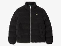 Мужская вельветовая куртка-пуховик Lacoste