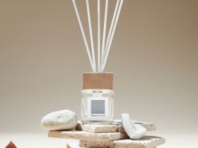 Диффузор Папайя кокос/Papaya Coconut I 50 мл