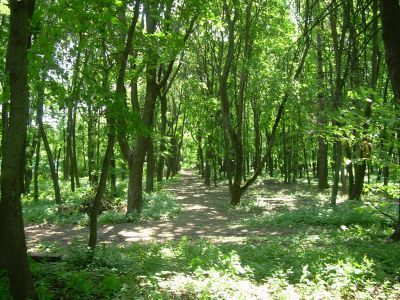 Усадьба помещика Русина