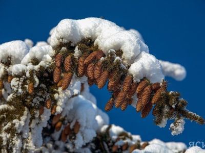 Туристы-экстремалы из Якутии проводят зимний сезон на склонах Амурской области