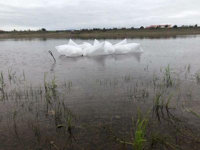 Порядка 70 тысяч мальков чира запустили в реку Вилюй в Якутии
