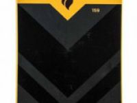 Сноуборд BLACK FIRE Advanced 19/20