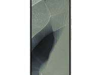 Google Pixel 11 Pro XL 12/256Gb (Olive)