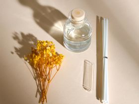 Диффузор Dandelion Fields 100 мл