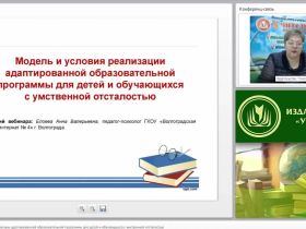 Модель и условия реализации адаптированной образовательной программы для детей и обучающихся с умственной отсталостью