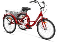 Aist Cargo 1.1 24, год 2025, цвет Серый