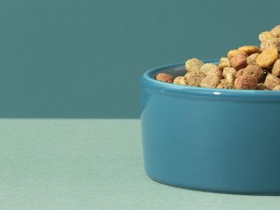 В итальянских кормах для кошек нашли ГМО