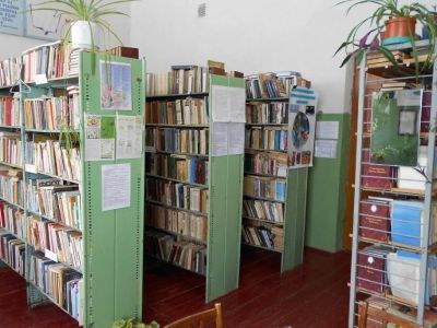 Новоакшинская сельская библиотека