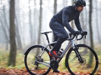 Sks Комплект крыльев SKS SpeedRocker 28ʺ (11567), цвет Черный