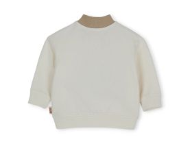 Толстовка для маленького мальчика