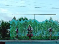 Больше-Чесноковский сельский дом культуры